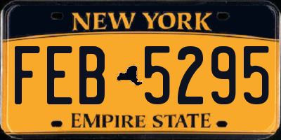 NY license plate FEB5295