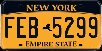 NY license plate FEB5299