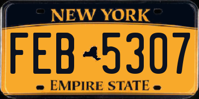 NY license plate FEB5307