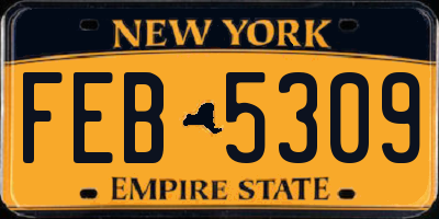 NY license plate FEB5309