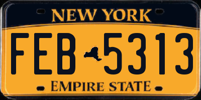 NY license plate FEB5313