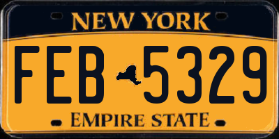 NY license plate FEB5329