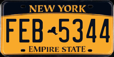 NY license plate FEB5344