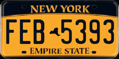 NY license plate FEB5393