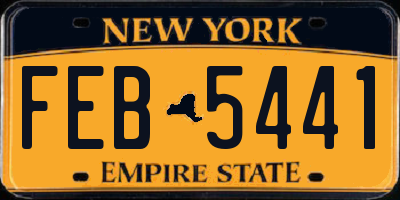 NY license plate FEB5441