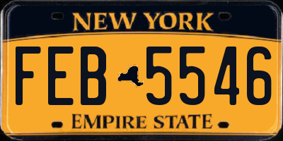 NY license plate FEB5546