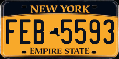 NY license plate FEB5593