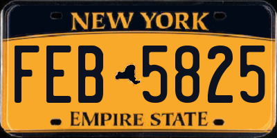 NY license plate FEB5825