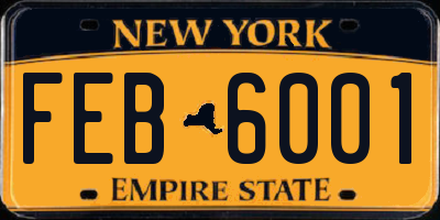 NY license plate FEB6001