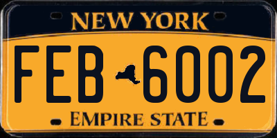NY license plate FEB6002