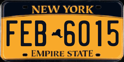 NY license plate FEB6015