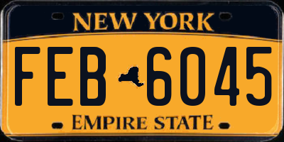 NY license plate FEB6045
