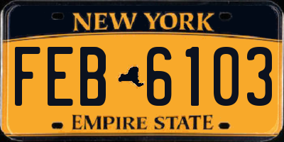 NY license plate FEB6103