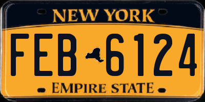 NY license plate FEB6124