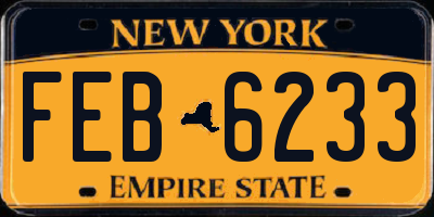 NY license plate FEB6233