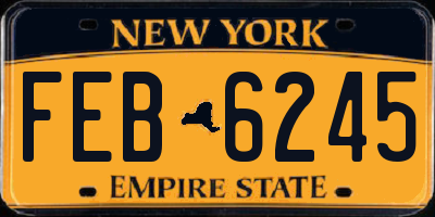 NY license plate FEB6245