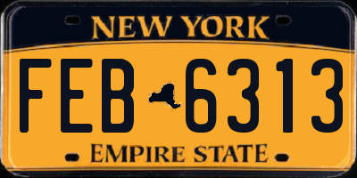 NY license plate FEB6313