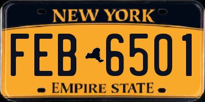 NY license plate FEB6501