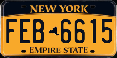 NY license plate FEB6615