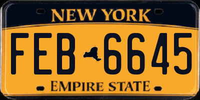 NY license plate FEB6645