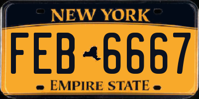 NY license plate FEB6667