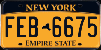 NY license plate FEB6675