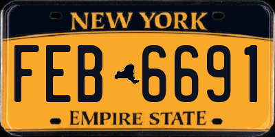 NY license plate FEB6691