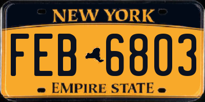 NY license plate FEB6803