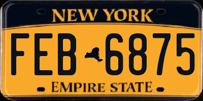 NY license plate FEB6875