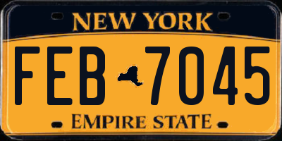 NY license plate FEB7045