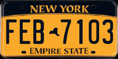 NY license plate FEB7103