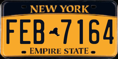 NY license plate FEB7164