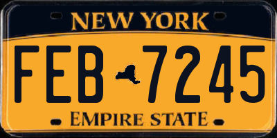 NY license plate FEB7245