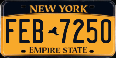 NY license plate FEB7250