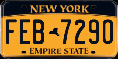 NY license plate FEB7290