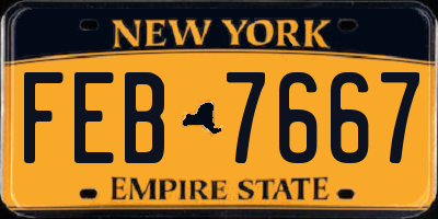 NY license plate FEB7667