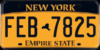 NY license plate FEB7825