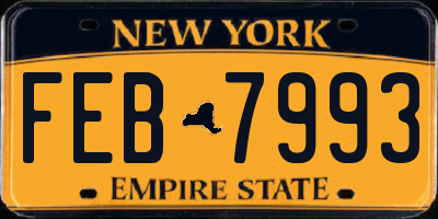 NY license plate FEB7993