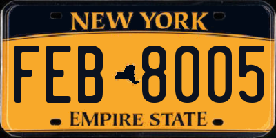 NY license plate FEB8005