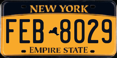 NY license plate FEB8029
