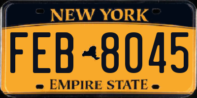 NY license plate FEB8045