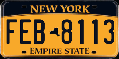 NY license plate FEB8113