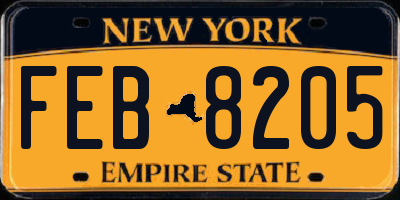 NY license plate FEB8205
