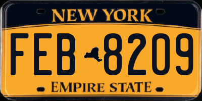 NY license plate FEB8209