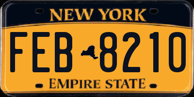 NY license plate FEB8210
