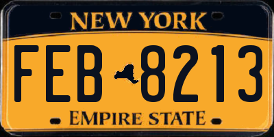 NY license plate FEB8213
