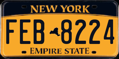 NY license plate FEB8224