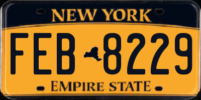 NY license plate FEB8229
