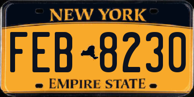 NY license plate FEB8230