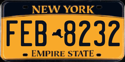 NY license plate FEB8232